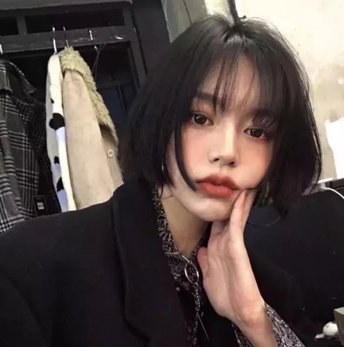 扶摇 封面